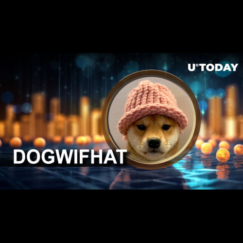 Meme Stock Renaissance: Dogwifhat Skyrockets 20%