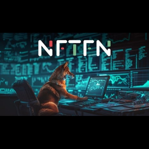 NFT 火了：跳上 NFTFN 獲得 100 倍加密收益