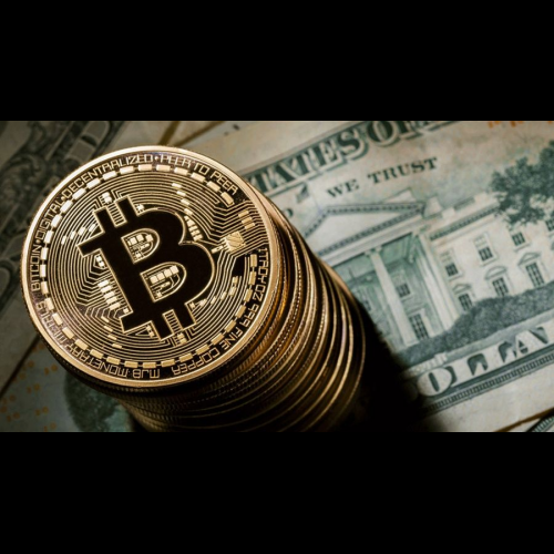 Why You Need to Pay Attention to Bitcoin's Dollar Value