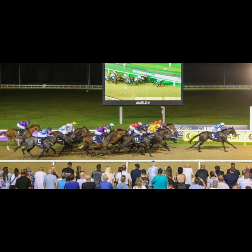 Racing League and The Winners Circle: Transforming Horse Racing with Innovation and Fan Engagement