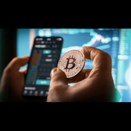 Savvy Investors Find Opportunities in Cryptocurrency Market Volatility