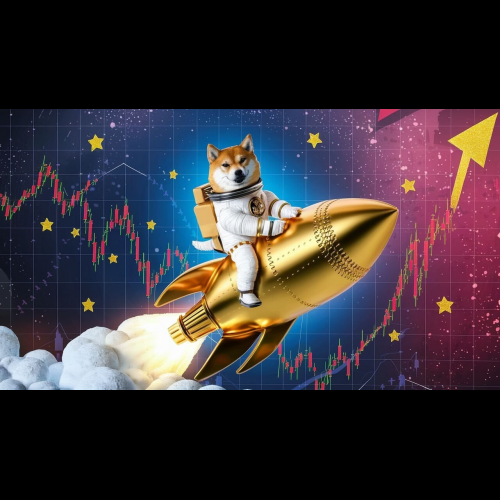 Shiba Budz: Bonk Killer Emerges, Reshaping Meme Coin Landscape