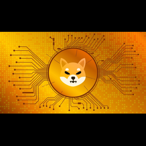 Shiba Inu fait la promotion de la scène des crypto-monnaies, Borroe Finance explore le domaine DeFi