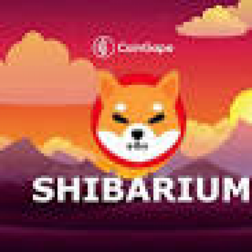 Shiba Inu, Bad Idea AI 로켓과 협력하여 GateIO에 착륙