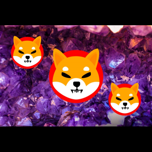 Le Shiba Inu est-il prêt à percer ?