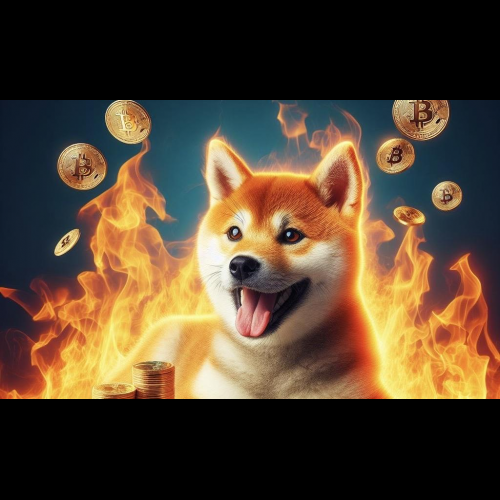 Shiba Inu Roar: 토큰 소각 및 Binance NFT 발표로 시장 급등