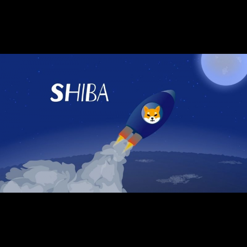 Is Shiba Inu a Safe Harbor Amid Crypto Market Volatility?