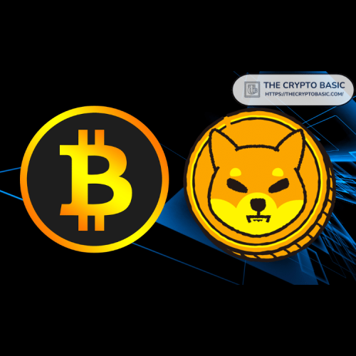 Shiba Inu (SHIB) pourrait connaître une forte hausse si Bitcoin (BTC) atteint l'objectif de 500 000 $