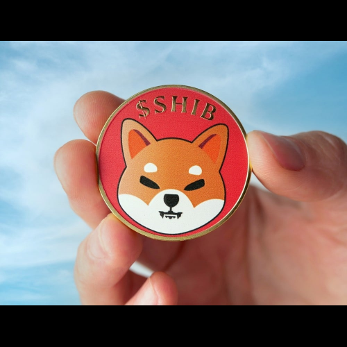 Shiba Inu Surge Surges On: New Meme Coins Emerge as Potential Challengers