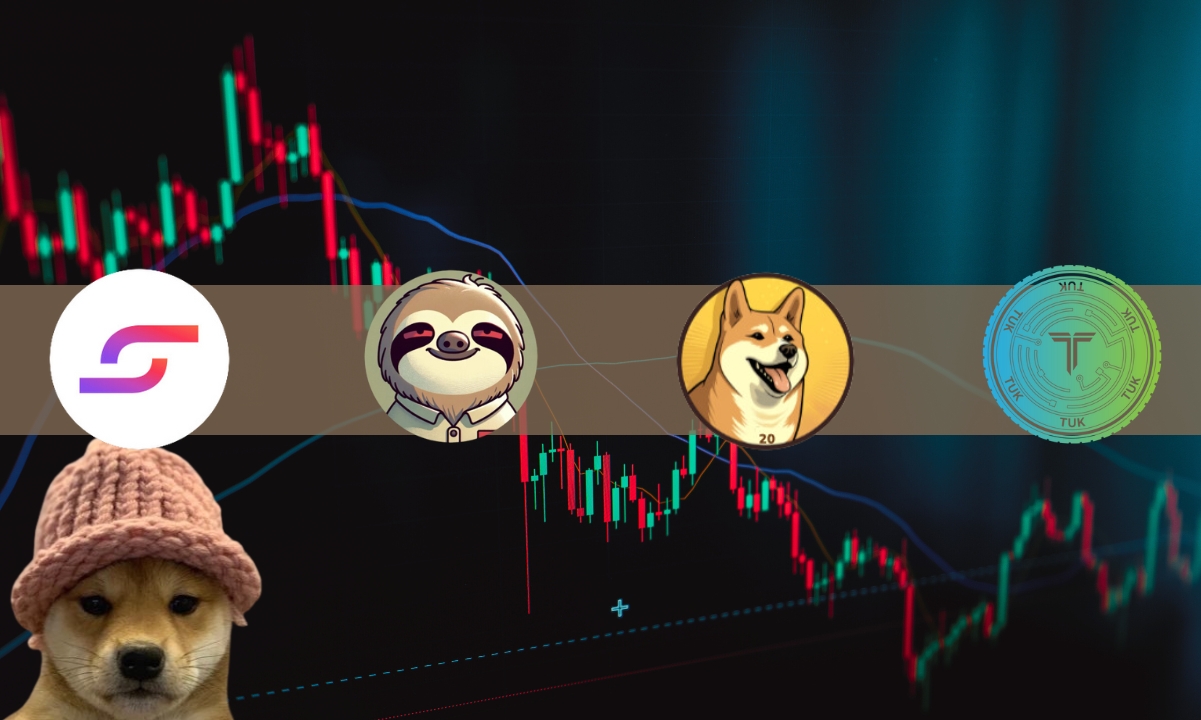 Solana's Meme Coin Reign Fades, Opening Doors for Slothana and Dogecoin20 to Shine