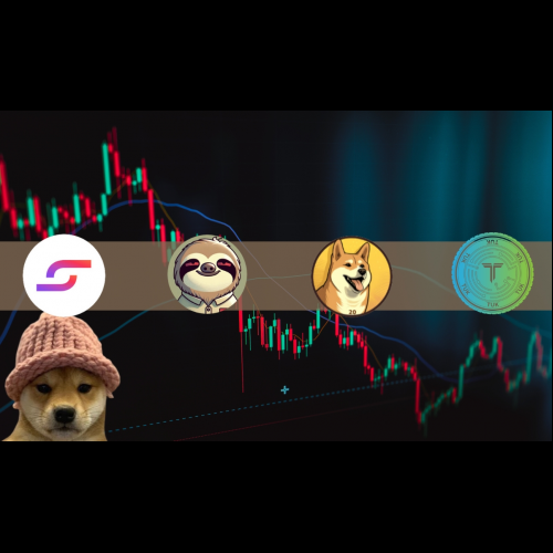 Solana's Meme Coin Reign Fades, Opening Doors for Slothana and Dogecoin20 to Shine