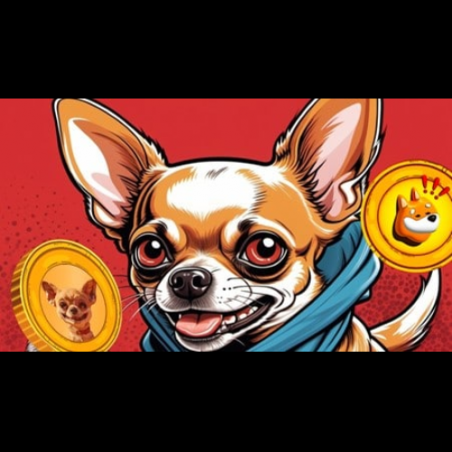 Solana's Rising Stars: HUMP, BOME, and BONK Captivate Crypto Market