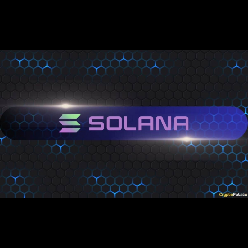 Solana Rockets to Crypto Supremacy, Dominating Blockchain Landscape