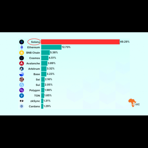 Solana 跃升为 2024 年领先的区块链生态系统