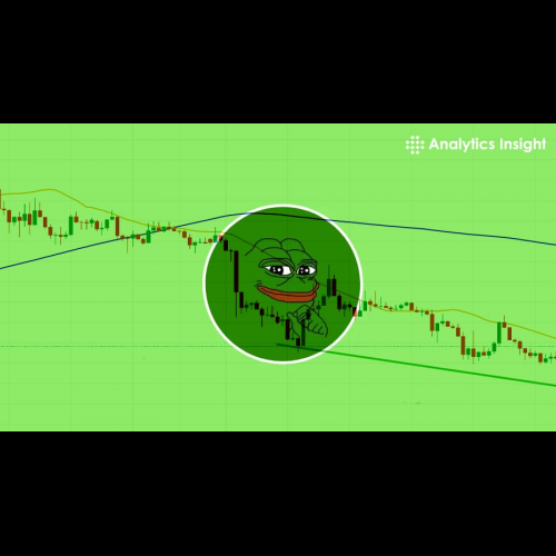 Unveiling the Rise of Pepe Coin: A Comprehensive Analysis of Growth Drivers