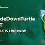 USDT Coin: Crypto Crusade for Turtle Conservation