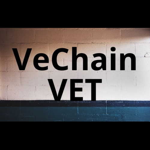 VeChain 분석가는 내년에 큰 가격 상승을 예측합니다