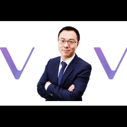 VeChain、ブロックチェーンと持続可能な開発の覇権を目標とした、2024年以降に向けた野心的なロードマップを発表