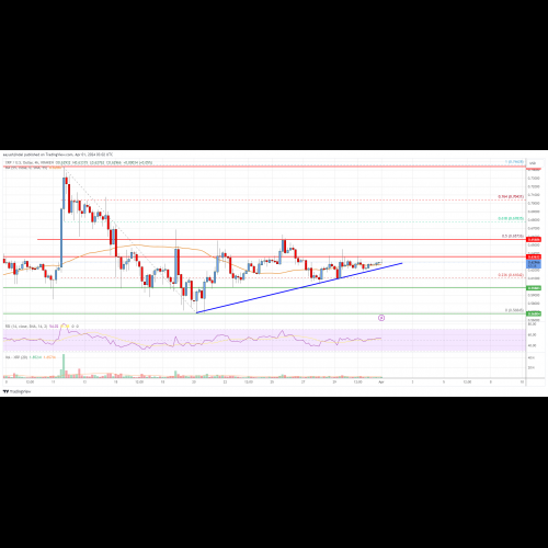 XRP Price Consolidates Above $0.60, Prepares for Potential Surge