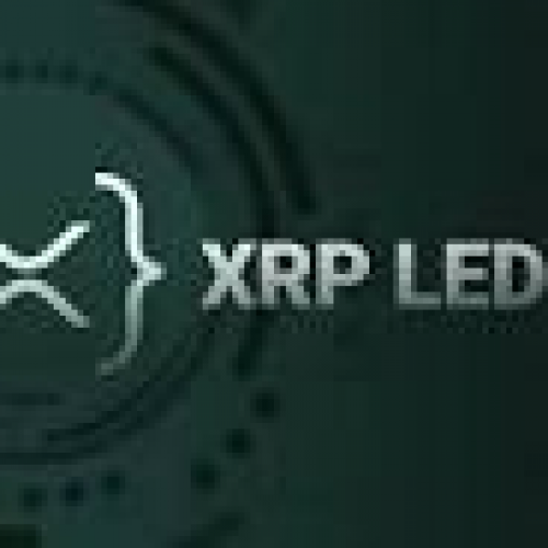 XRPL Canary Network: A Safe Haven for Innovation