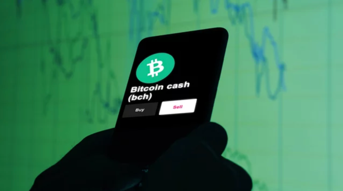 Les mineurs de Bitcoin Cash accumulent du Bitcoin avant de le réduire de moitié et affichent un sentiment haussier