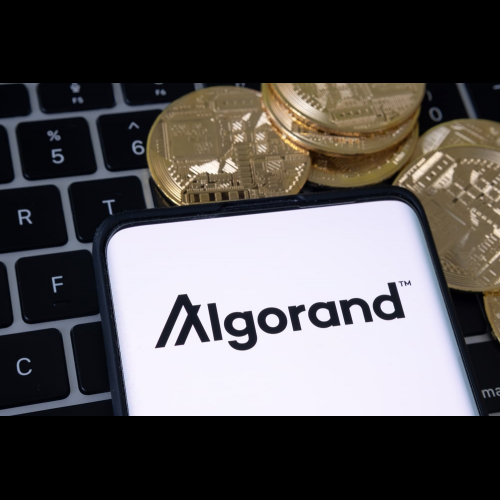 2024 年購買 Algorand (ALGO) 的 5 個最佳地點 - Tokenhell