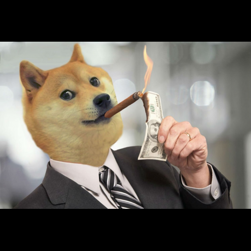 Dogecoin (DOGE): Doge Day가 다가오면 Elon이 힌트를 줄까요? Dogecoin 라이벌이 420에서 출시됩니다 - NullTX