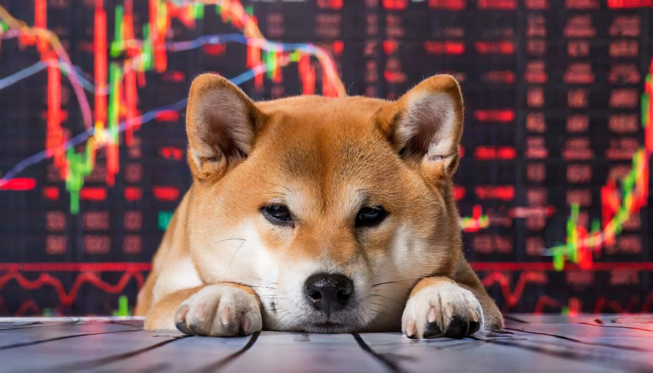 Top Analyst Forecast Bonk (BONK) Rally In 2024 As Newcomer BUDZ Gains Momentum » The Merkle News