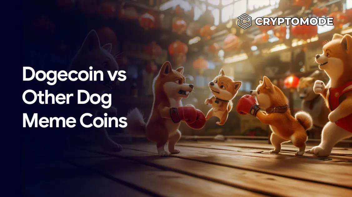 Dog Meme Coin : une plongée approfondie dans les rivaux de Dogecoin