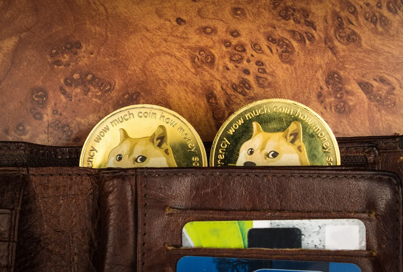 Dogecoin and Borroe Finance: A Paradigmatic Shift in Finance, Revolutionizing Inclusion and Innovation