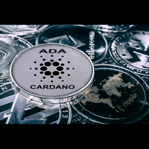 Grayscale Drops Cardano from Digital Large Cap Fund in Quarterly Reset