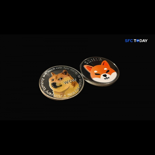 Meme Coin Mania: Dogecoin and Shiba Inu Stumble, New Pretenders Emerge