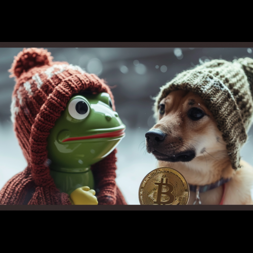 Pseudonymous Crypto Influencer SlumDOGE Millionaire Drops $300K on Meme Coins Amid Market Downturn