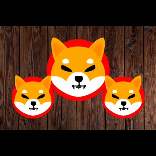 Shiba Inu's Recent Price Drop: Reasons Behind the Volatility