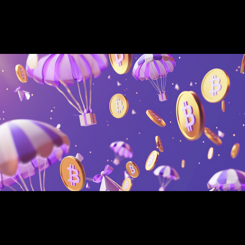 Découvrez vos trésors cryptographiques : parcourez les parachutages de Baby Doge Coin avec DappRadar