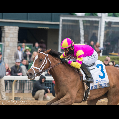 Leslie's Rose Triumphs at Central Bank Ashland, Earns Kentucky Oaks Berth