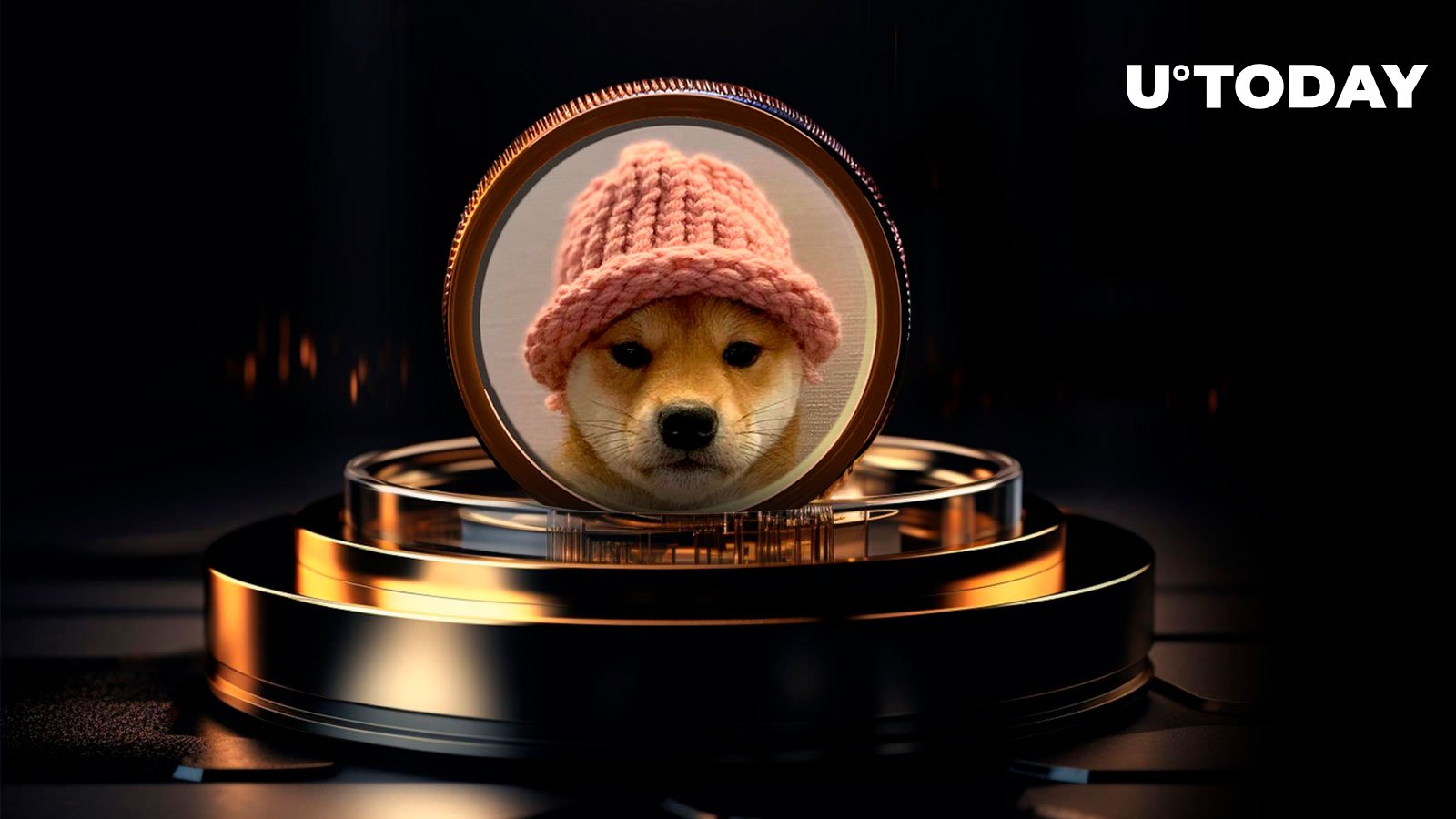 Meme Coin Dogwifhat (WIF) augmente, corrige, montre la résilience du marché et la frénésie spéculative