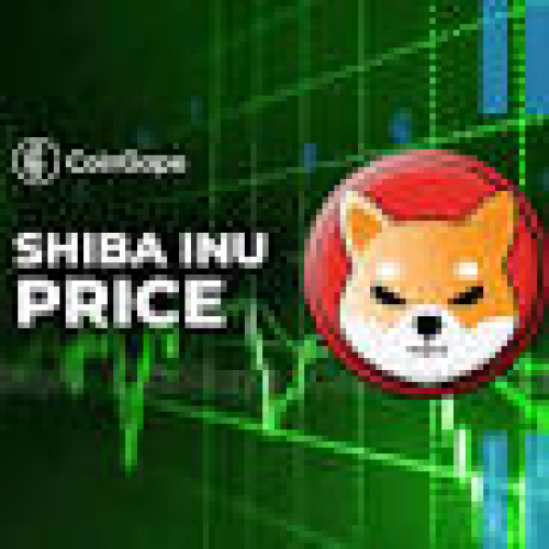 Shiba Inu fait son retour : des facteurs haussiers font grimper les prix de l’électricité