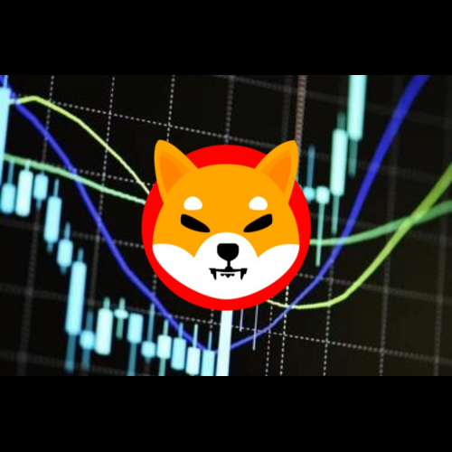 Shiba Inu (SHIB) könnte im Jahr 2024 explodieren: Analysten sagen einen starken Preisanstieg voraus