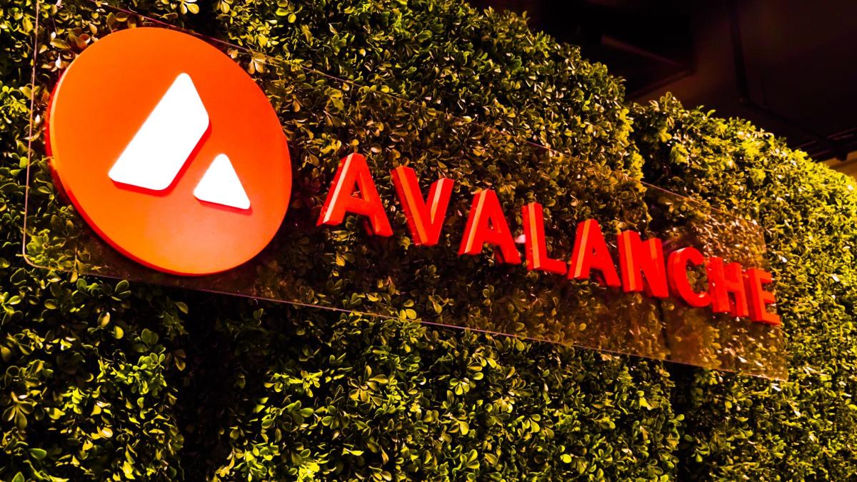 La Fondation Avalanche investit 50 millions de dollars dans la tokenisation