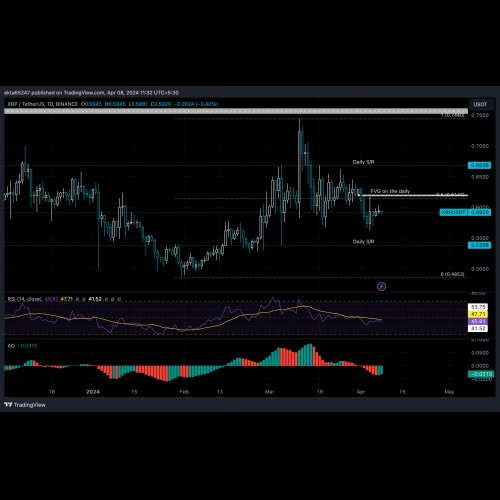 Ripple CEO는 암호화폐 시장이 2024년에 호황을 누리고 XRP가 회복될 것이라고 예측합니다.