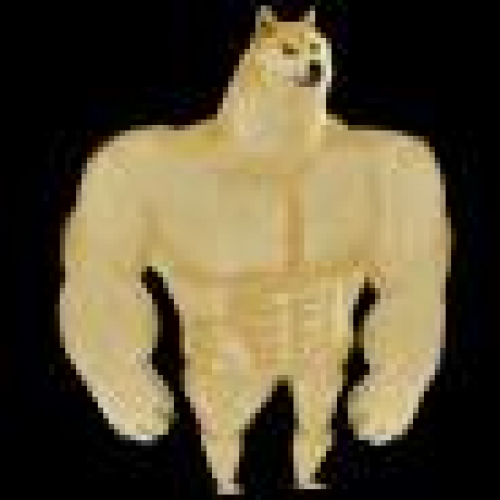 Swole Doge (SWOLE) Projected for Massive 3,500% Surge in Next Weeks