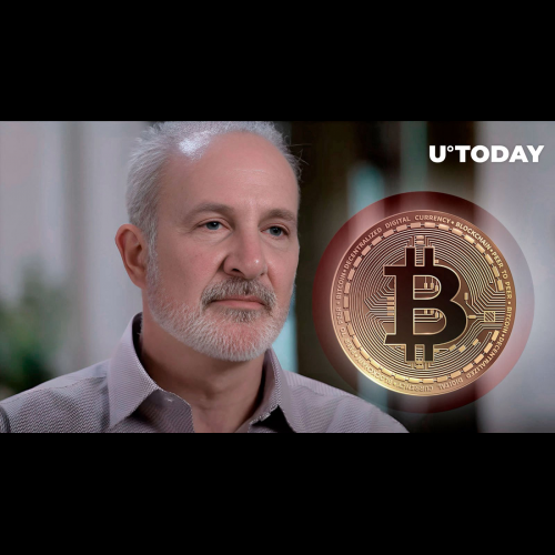 黃金倡導者 Peter Schiff 警告比特幣突破 7.2 萬美元後將出現“傻瓜反彈”