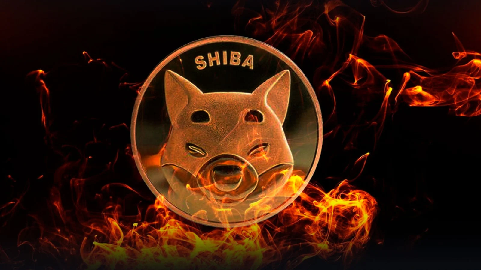 Shiba Inu brennt hell, Shiba Inu bahnt sich eine Spur im Codekreis