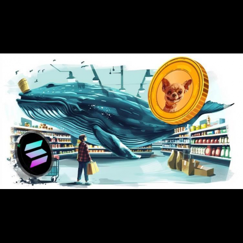 Solana Whale 在 Obscure Meme 币 $HUMP 上投入大量现金