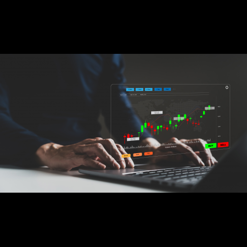 Bitcoin Enters Euphoric Phase, Mirroring Bullish Trajectory from Previous Cycle