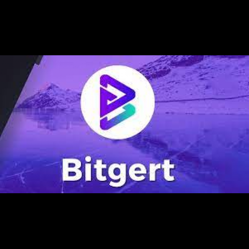 Bitgert: A Crypto Revolutionary Igniting Innovation and Progress