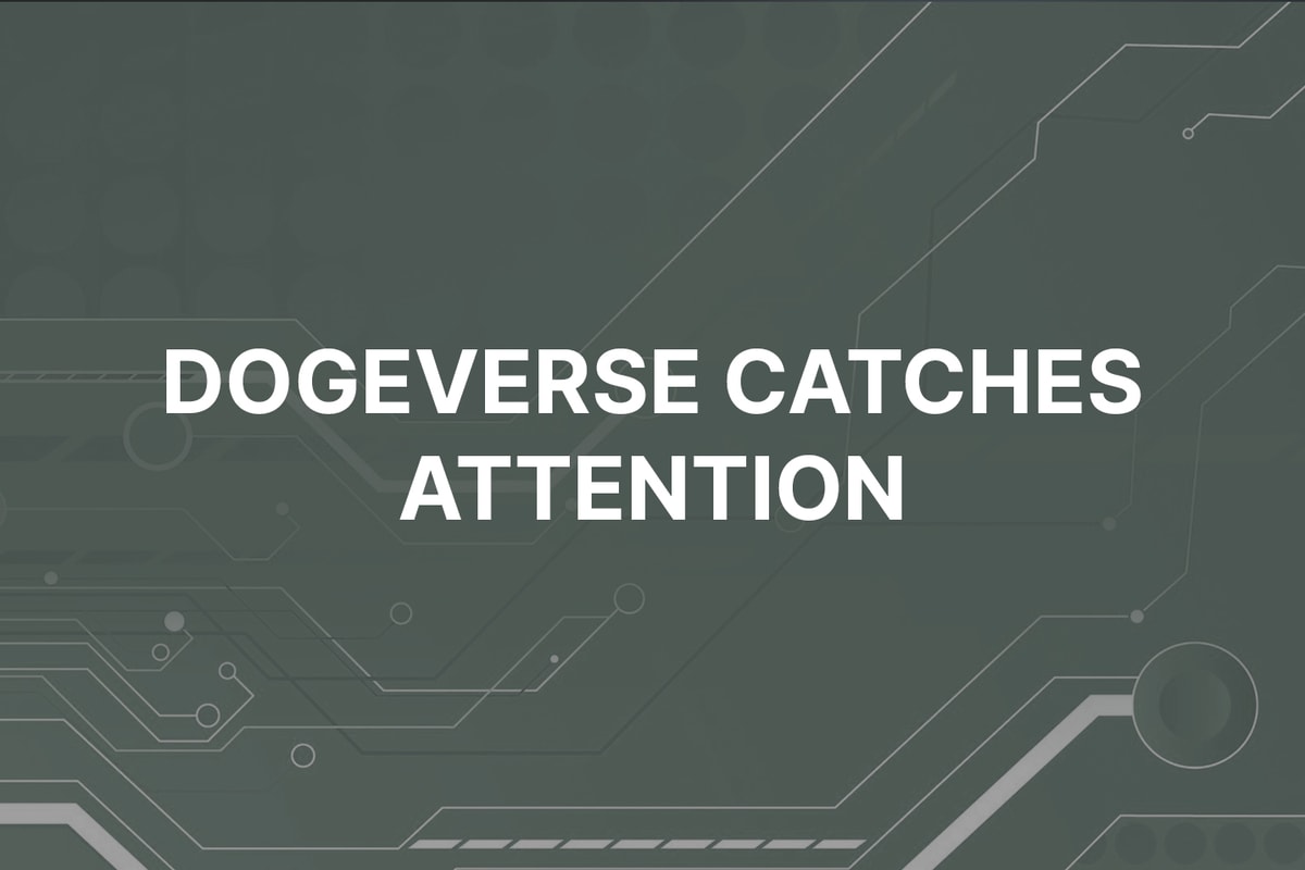 Dogeverse prend d'assaut le monde de la cryptographie avec la révolution des pièces de monnaie multi-chaînes