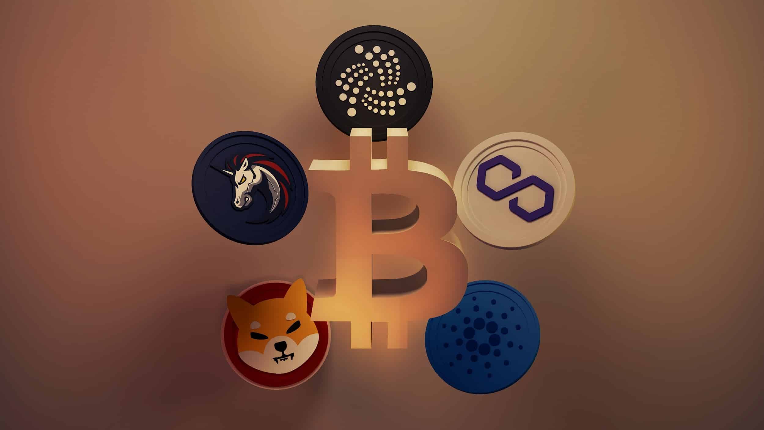 Altcoin Hot Picks: Polygon, Injective, Shiba Inu, and Borroe Finance Poised for Returns