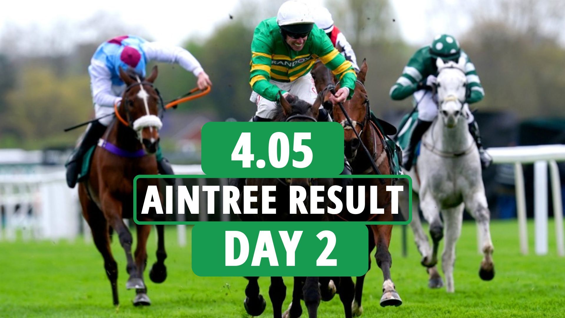 Les Cardinals de l'Arizona gagnent dans le passionnant Topham Chase au Aintree Festival